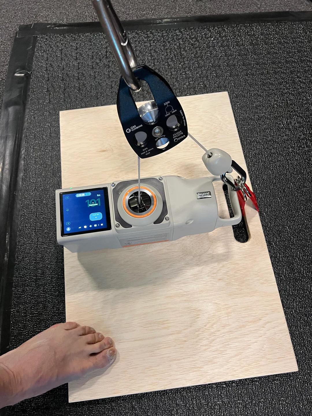 VOLTRA Belt Squat Platform